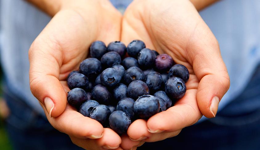 The Power of Blueberry Extract in Cosmetics