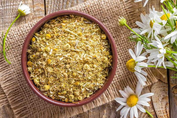 The Many Beauty Benefits of Chamomile