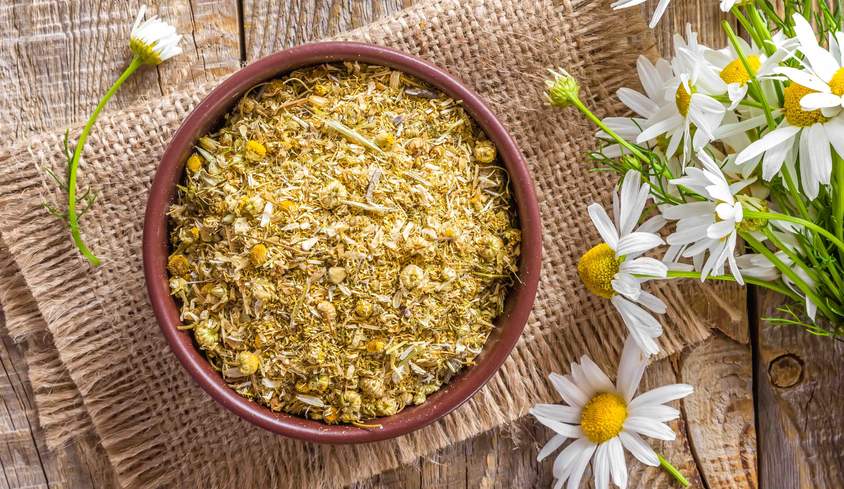 The Many Beauty Benefits of Chamomile